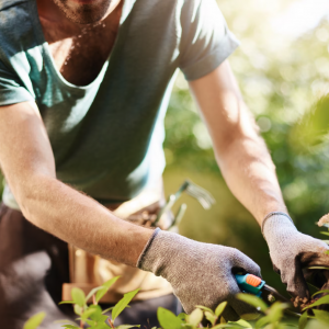 jardinier au travail